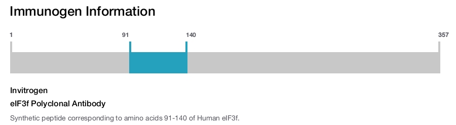 eIF3f Polyclonal Antibody