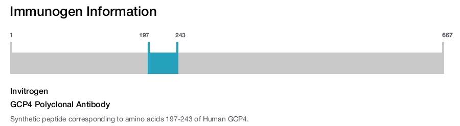 GCP4 Polyclonal Antibody