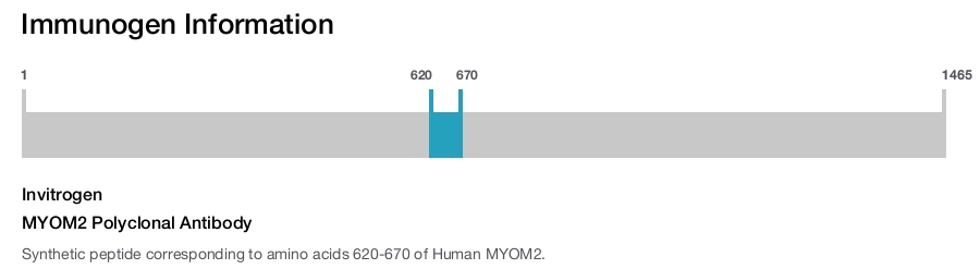 MYOM2 Polyclonal Antibody