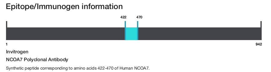 NCOA7 Polyclonal Antibody