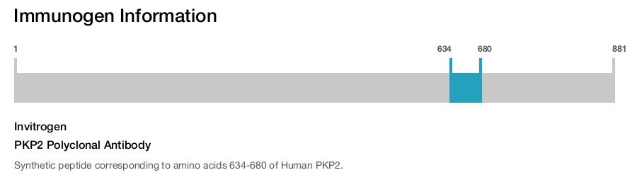 PKP2 Polyclonal Antibody