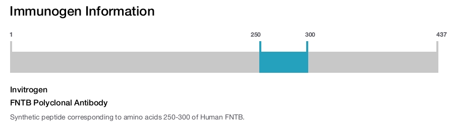 FNTB Polyclonal Antibody