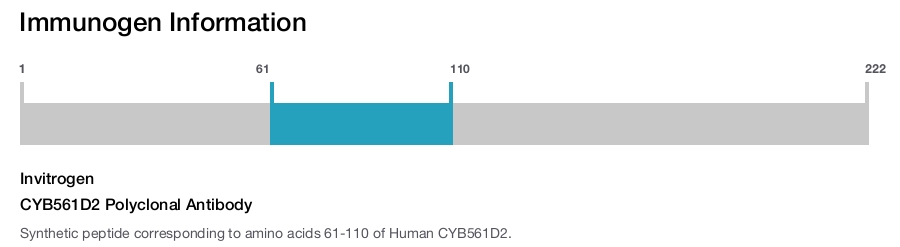 CYB561D2 Polyclonal Antibody