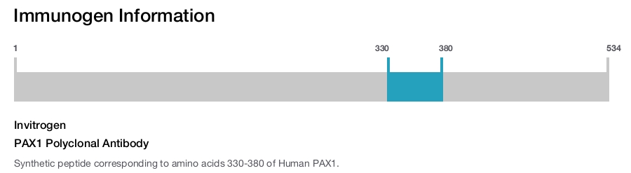 PAX1 Polyclonal Antibody