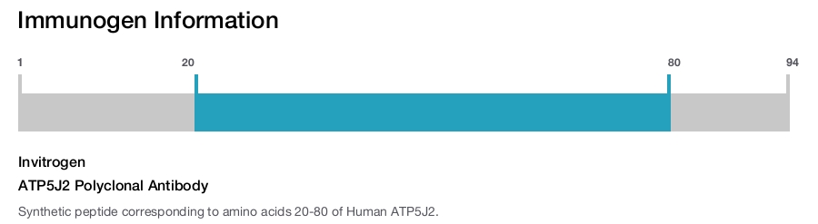 ATP5J2 Polyclonal Antibody