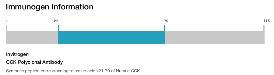 CCK Polyclonal Antibody