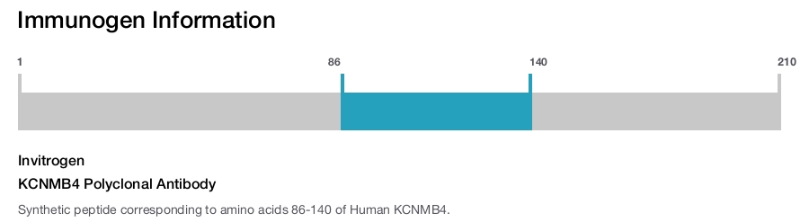 KCNMB4 Polyclonal Antibody