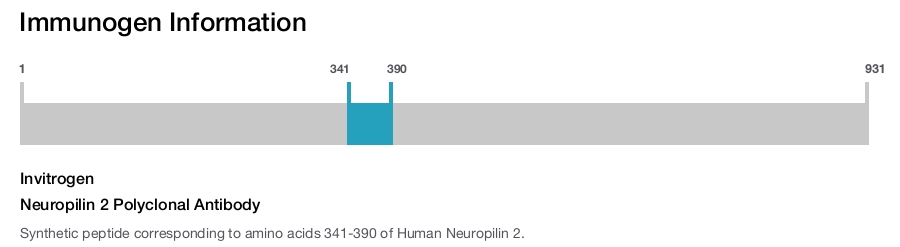 Neuropilin 2 Polyclonal Antibody