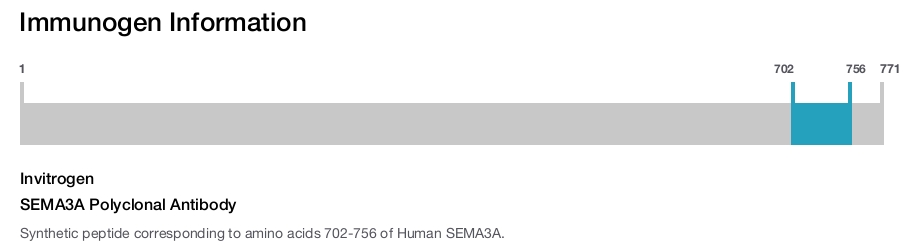 SEMA3A Polyclonal Antibody