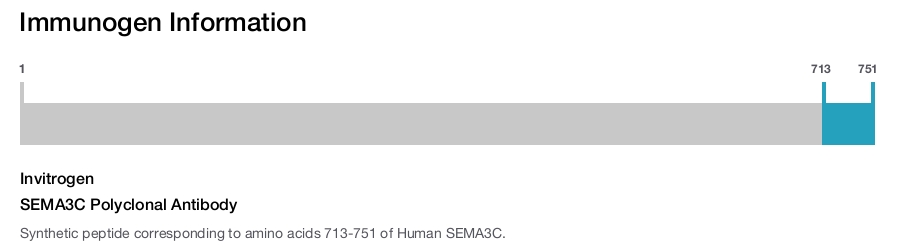 SEMA3C Polyclonal Antibody