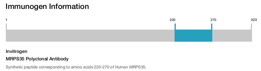 MRPS35 Polyclonal Antibody
