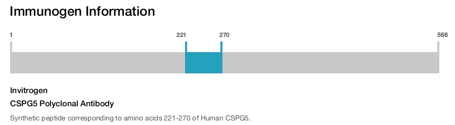 CSPG5 Polyclonal Antibody