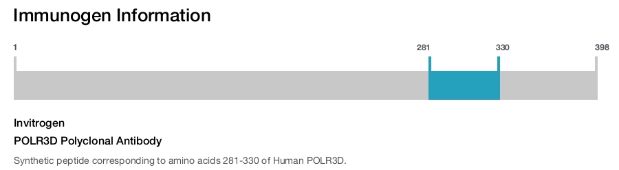 POLR3D Polyclonal Antibody