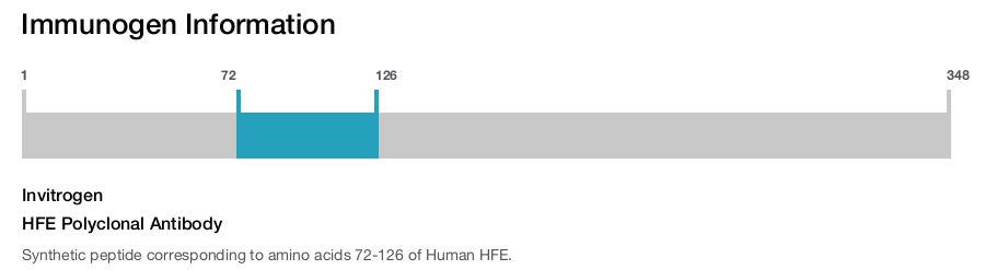 HFE Polyclonal Antibody