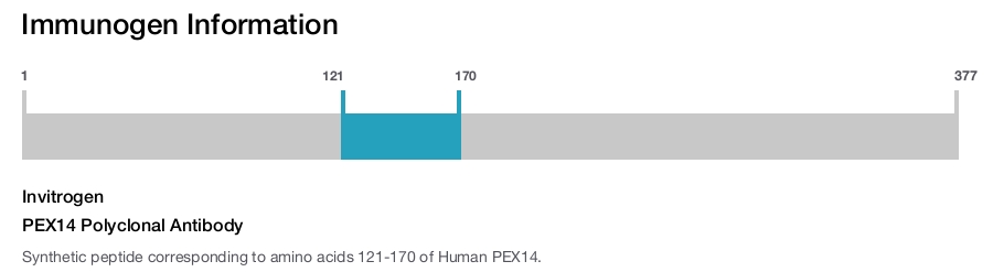 PEX14 Polyclonal Antibody