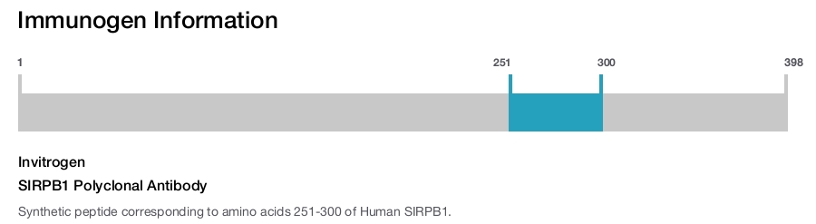 SIRPB1 Polyclonal Antibody