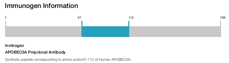 APOBEC3A Polyclonal Antibody