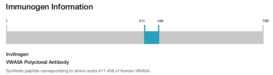 VWA5A Polyclonal Antibody