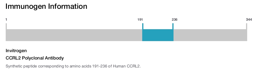 CCRL2 Polyclonal Antibody