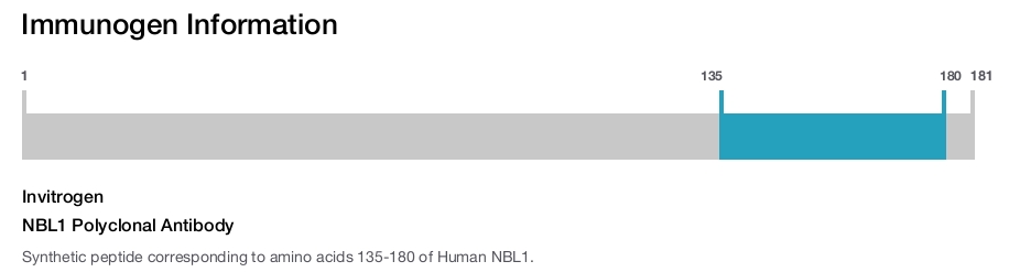 NBL1 Polyclonal Antibody