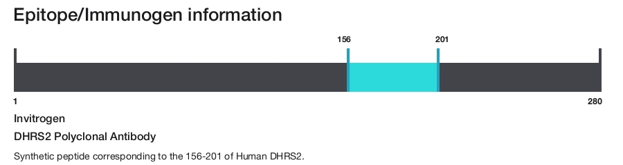 DHRS2 Polyclonal Antibody