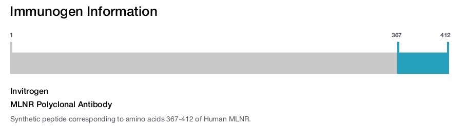 MLNR Polyclonal Antibody