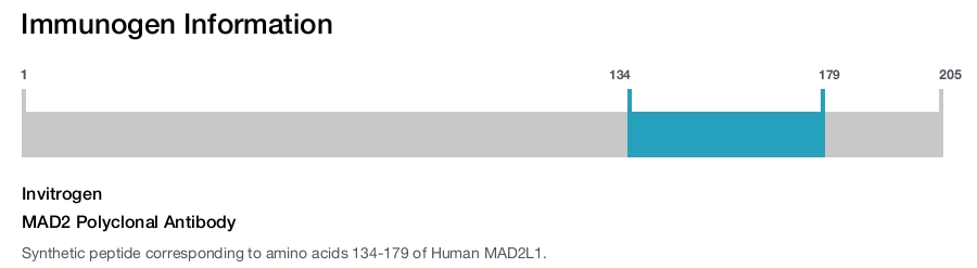 MAD2 Polyclonal Antibody