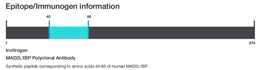 MAD2L1BP Polyclonal Antibody