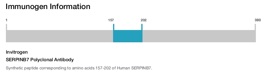 SERPINB7 Polyclonal Antibody