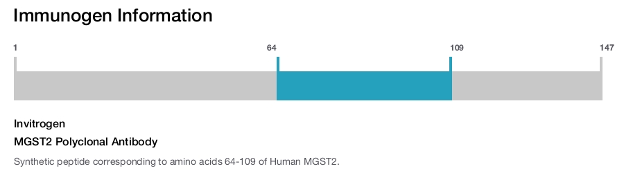 MGST2 Polyclonal Antibody