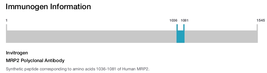 MRP2 Polyclonal Antibody