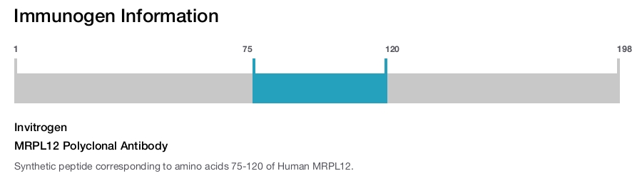 MRPL12 Polyclonal Antibody