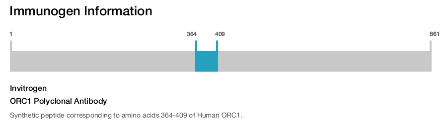 ORC1 Polyclonal Antibody