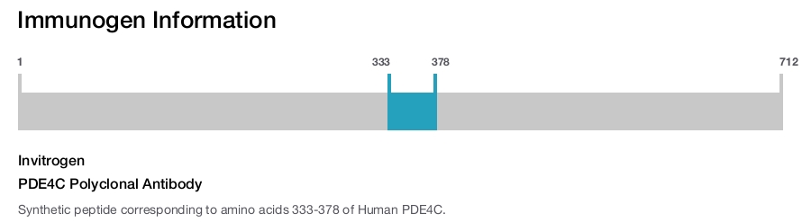 PDE4C Polyclonal Antibody