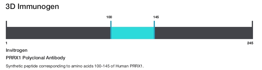 PRRX1 Polyclonal Antibody