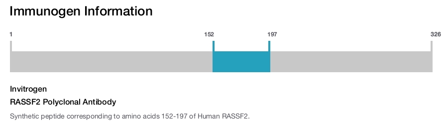 RASSF2 Polyclonal Antibody