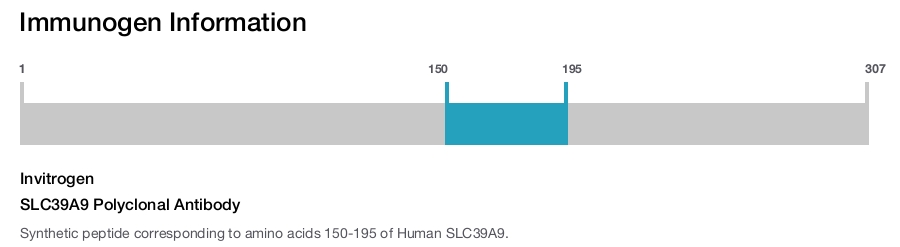 SLC39A9 Polyclonal Antibody