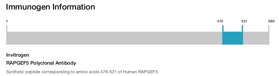 RAPGEF5 Polyclonal Antibody