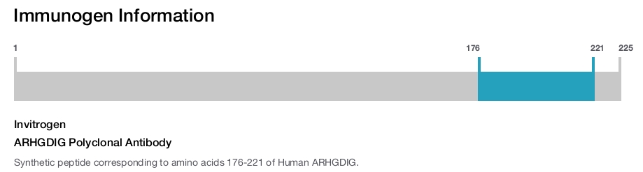 ARHGDIG Polyclonal Antibody