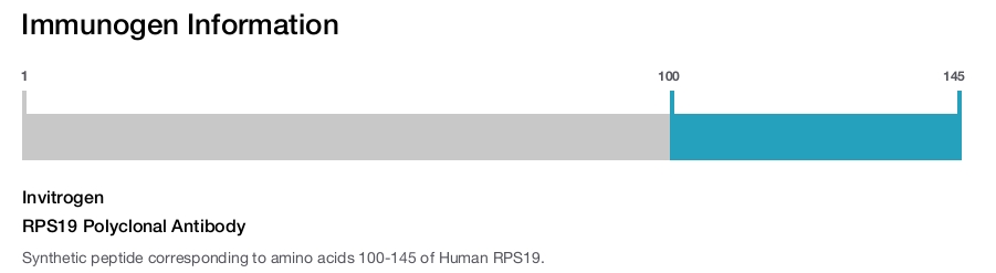 RPS19 Polyclonal Antibody