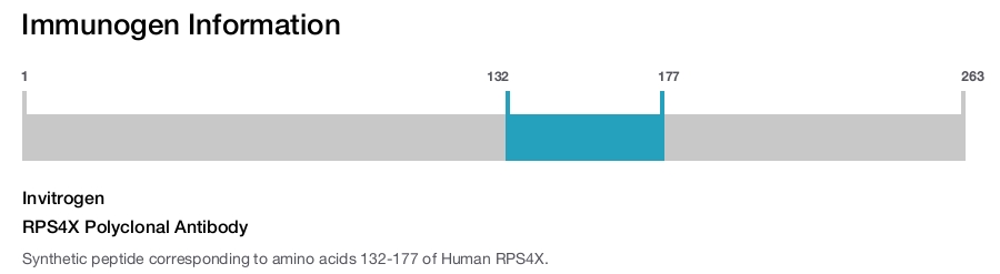RPS4X Polyclonal Antibody