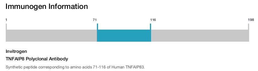 TNFAIP8 Polyclonal Antibody