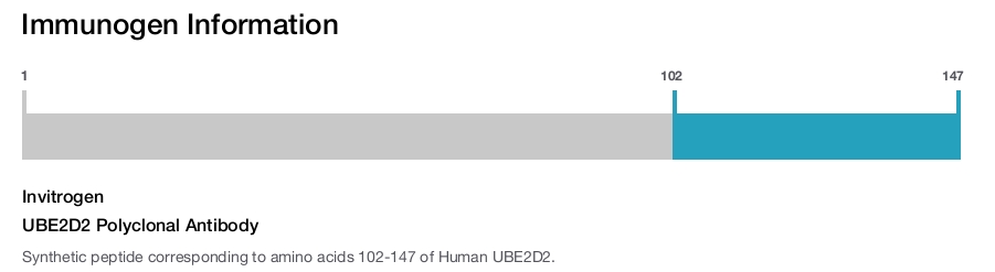 UBE2D2 Polyclonal Antibody
