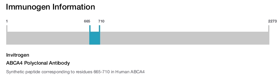 ABCA4 Polyclonal Antibody