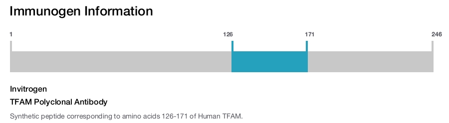 TFAM Polyclonal Antibody