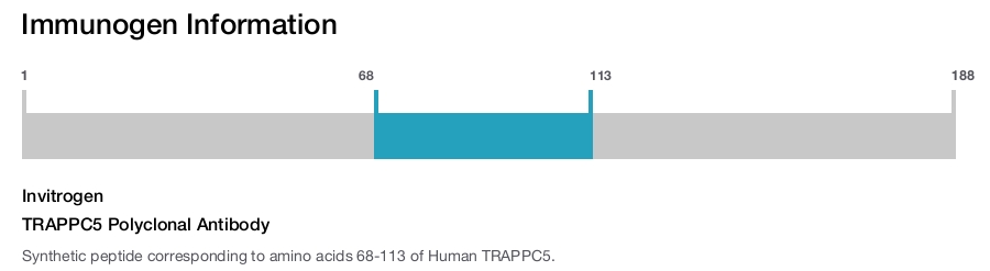 TRAPPC5 Polyclonal Antibody