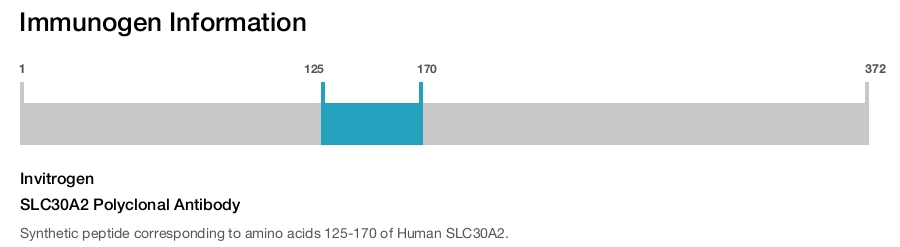 SLC30A2 Polyclonal Antibody