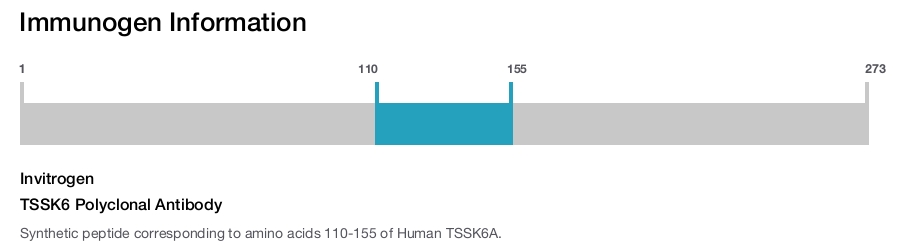 TSSK6 Polyclonal Antibody