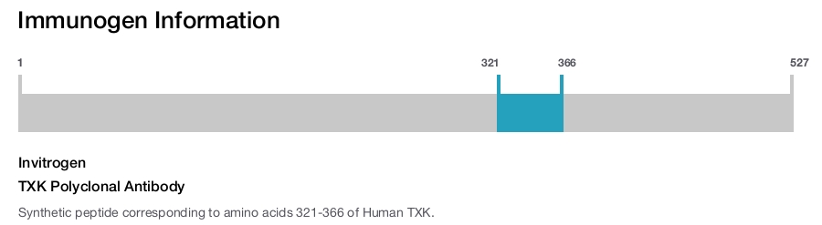 TXK Polyclonal Antibody