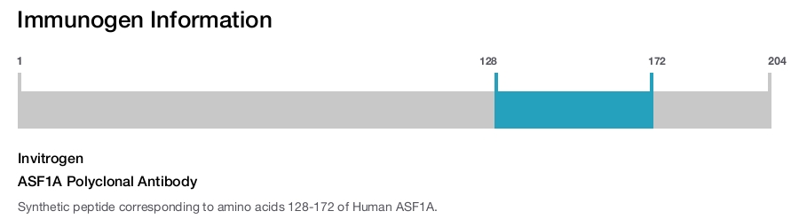 ASF1A Polyclonal Antibody